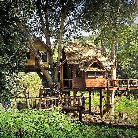 Rabeang Pasak Treehouse Resort Chiang Mai Extérieur photo