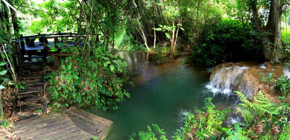 Rabeang Pasak Treehouse Resort Chiang Mai Extérieur photo