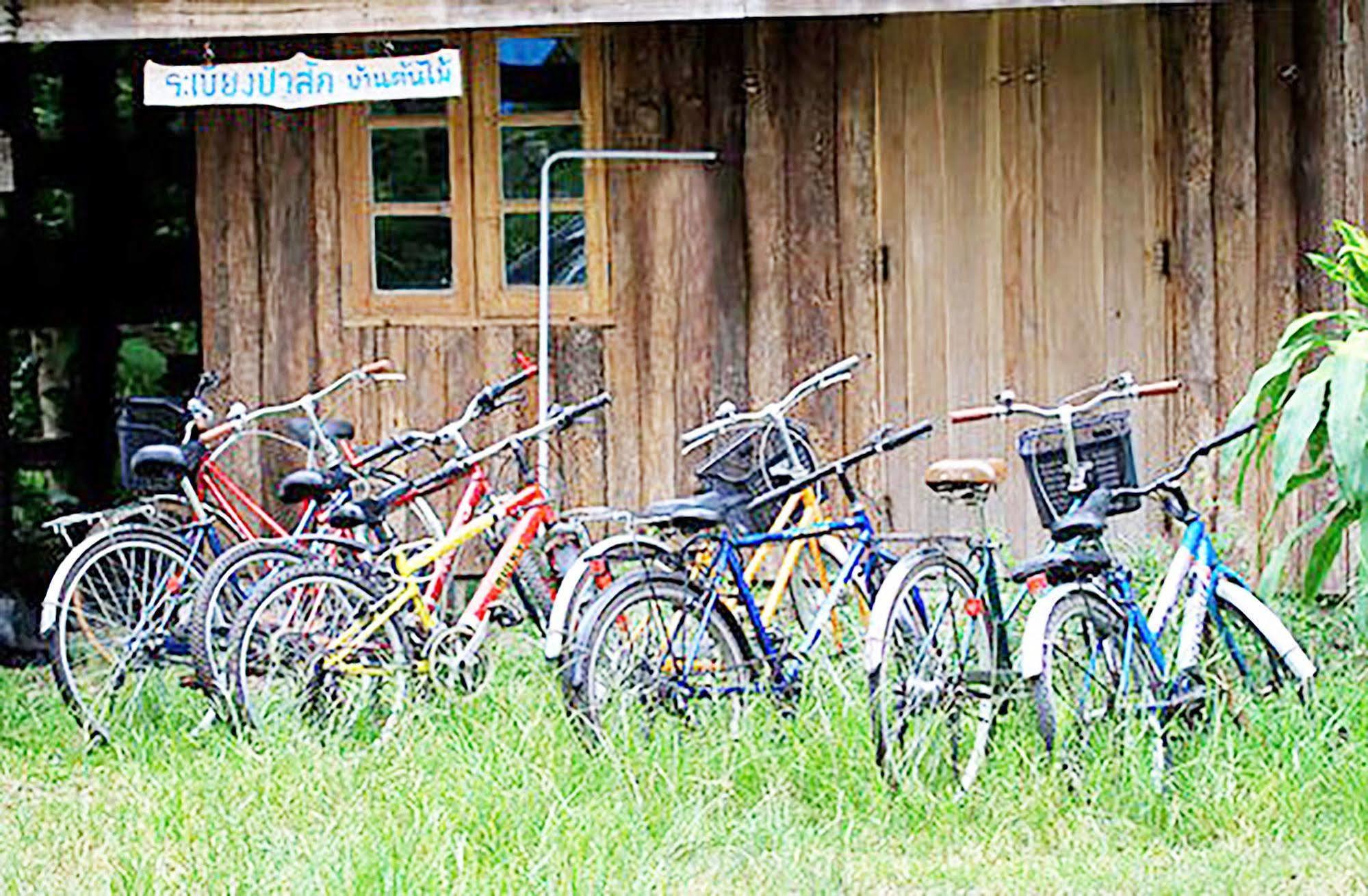 Rabeang Pasak Treehouse Resort Chiang Mai Extérieur photo