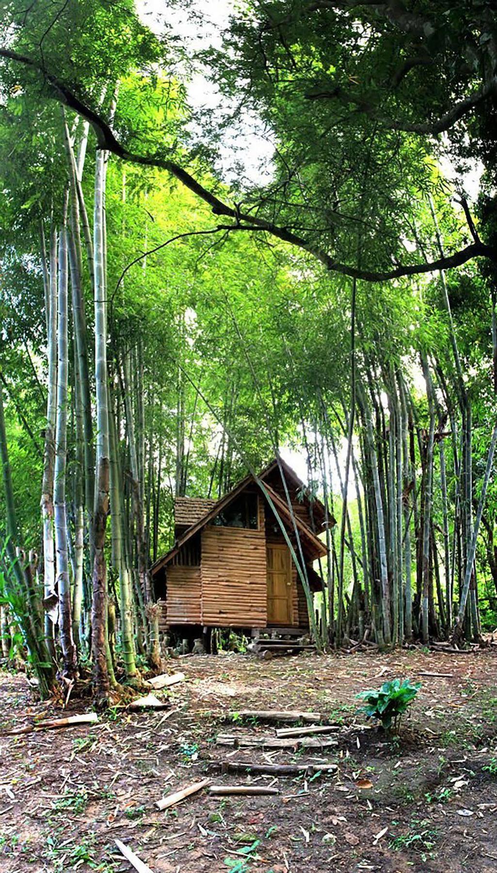 Rabeang Pasak Treehouse Resort Chiang Mai Extérieur photo