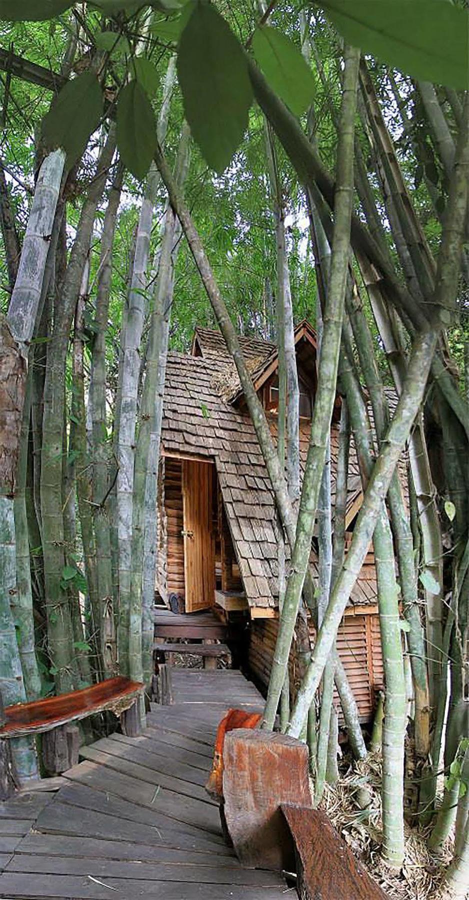 Rabeang Pasak Treehouse Resort Chiang Mai Extérieur photo